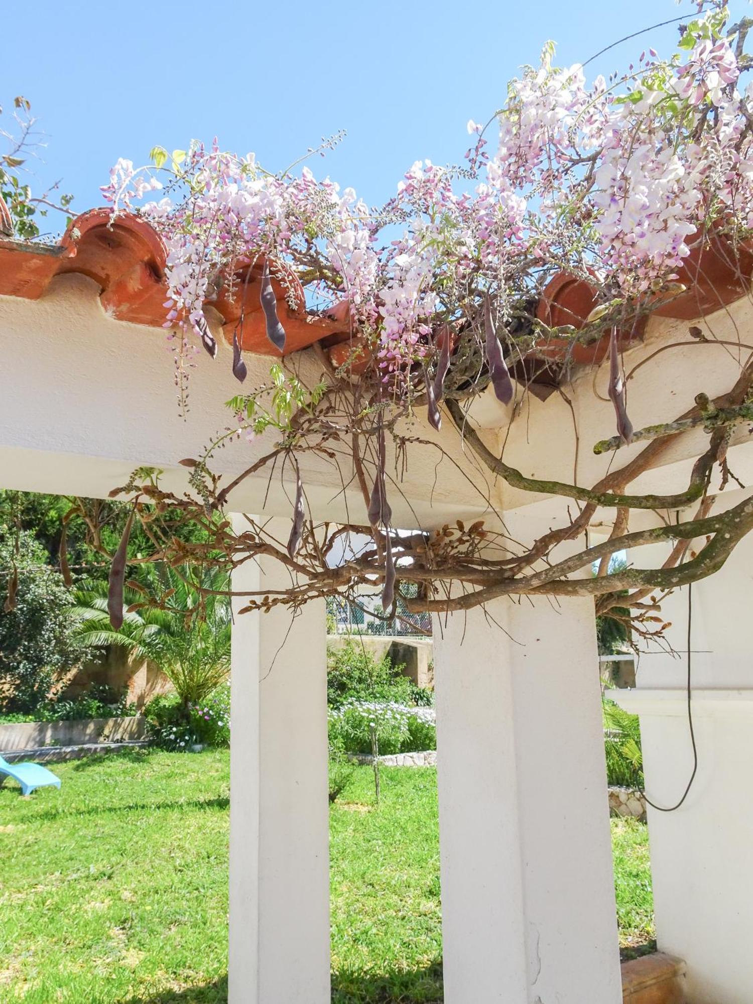 Quinta De ラゴス エクステリア 写真